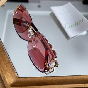 Cartier New High-end Fashion Sunglasses C99340 - Default Title - View 2