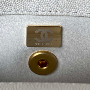 Chanel 23P Medium Flap Bag With Brown Top Handle Bag A92990 White - Default Title - View 9