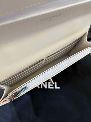 Chanel AP3645 Woc Wallet on Chain White Shiny Crumpled Calfskin Strass & Ruthenium Finish Metal - Default Title - View 7