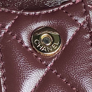 Chanel AS5220 Small Camera Case Bag Shiny Crumpled Lambskin & Gold-Tone Metal Dark Red - Default Title - View 6