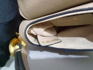 Dior S5685 Micro Saddle Bag With Strap Scarlet Light Gray Goatskin - Default Title - View 9