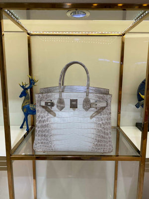 Hermes Birkin Designer Tote Bag Himalaya Crocodile Leather H99820 - Gold / 25cm - View 1