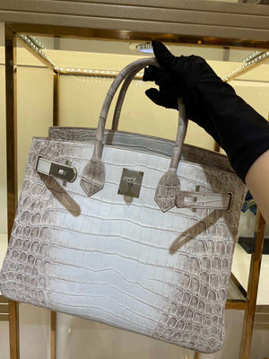 Hermes Birkin Designer Tote Bag Himalaya Crocodile Leather H99820 - Gold / 25cm - View 6