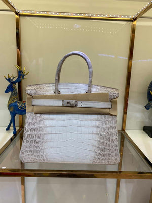 Hermes Birkin Designer Tote Bag Himalaya Crocodile Leather H99820 - Gold / 25cm - View 10