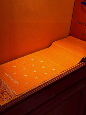 Louis Vuitton Double-sided Cashmere Scarf L60376 - Default Title - View 6
