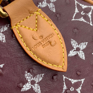 Louis Vuitton LV M14064 Speedy P9 Bandoulière 30 Bag Ostrich Jujube red - Default Title - View 7