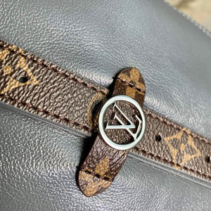 LV M12583 Louis Vuitton CarryAll Dark MM Bag Trianon Gray - Default Title - View 5