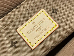 LV M20920 Louis Vuitton Maxi Multi Pochette Accessoires Beige - Default Title - View 8