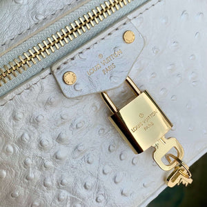 LV N85911 Louis Vuitton Vanity Chain Pouch Ostrich leather Bag White Pearl - Default Title - View 7