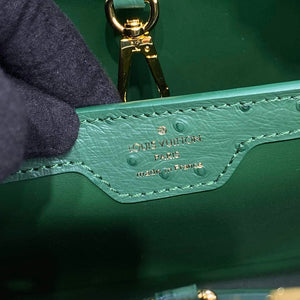 LV N93075 Louis Vuitton Capucines MM Handbag Mint Green - Default Title - View 7