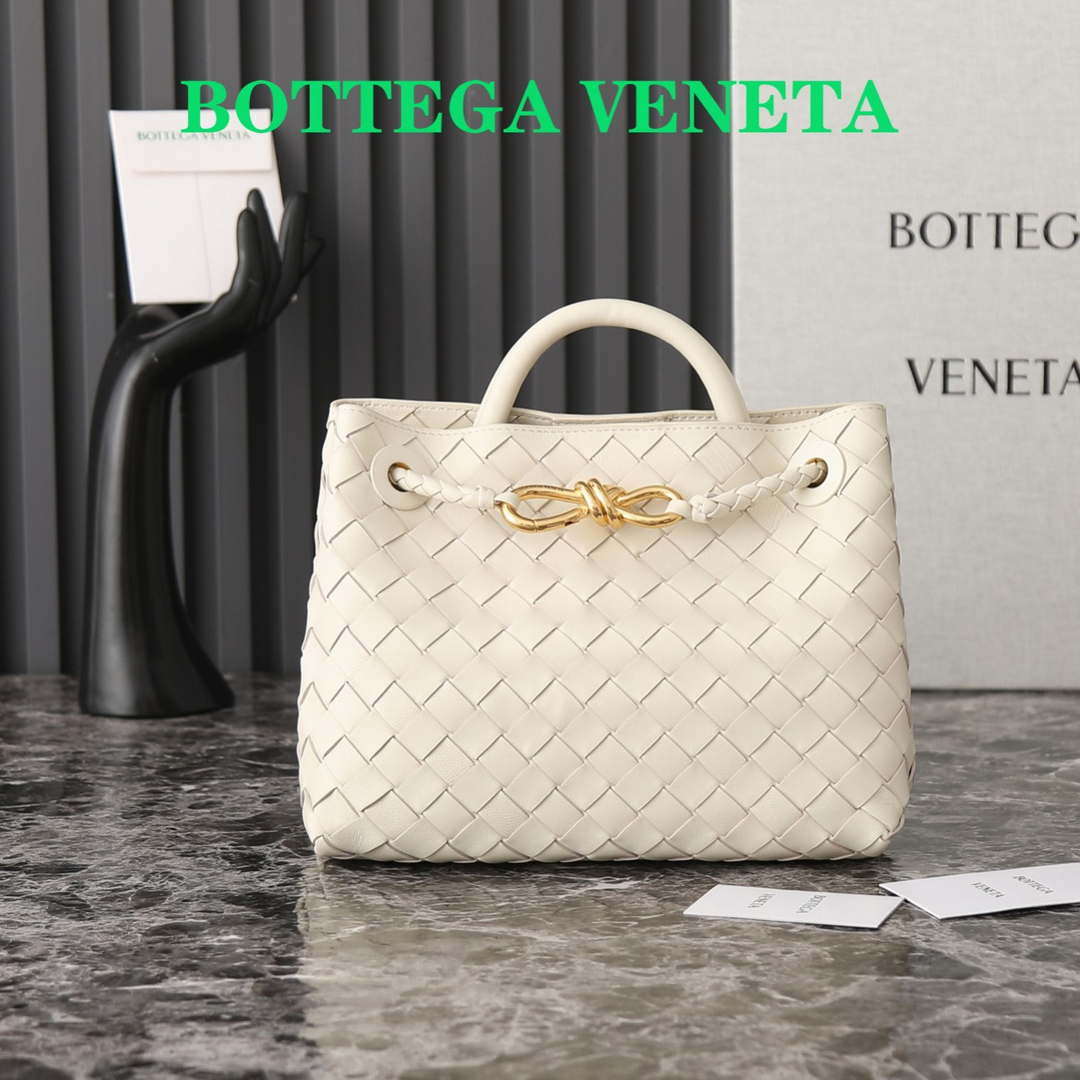 Bottega Veneta BV 743568 Small Andiamo BV9004