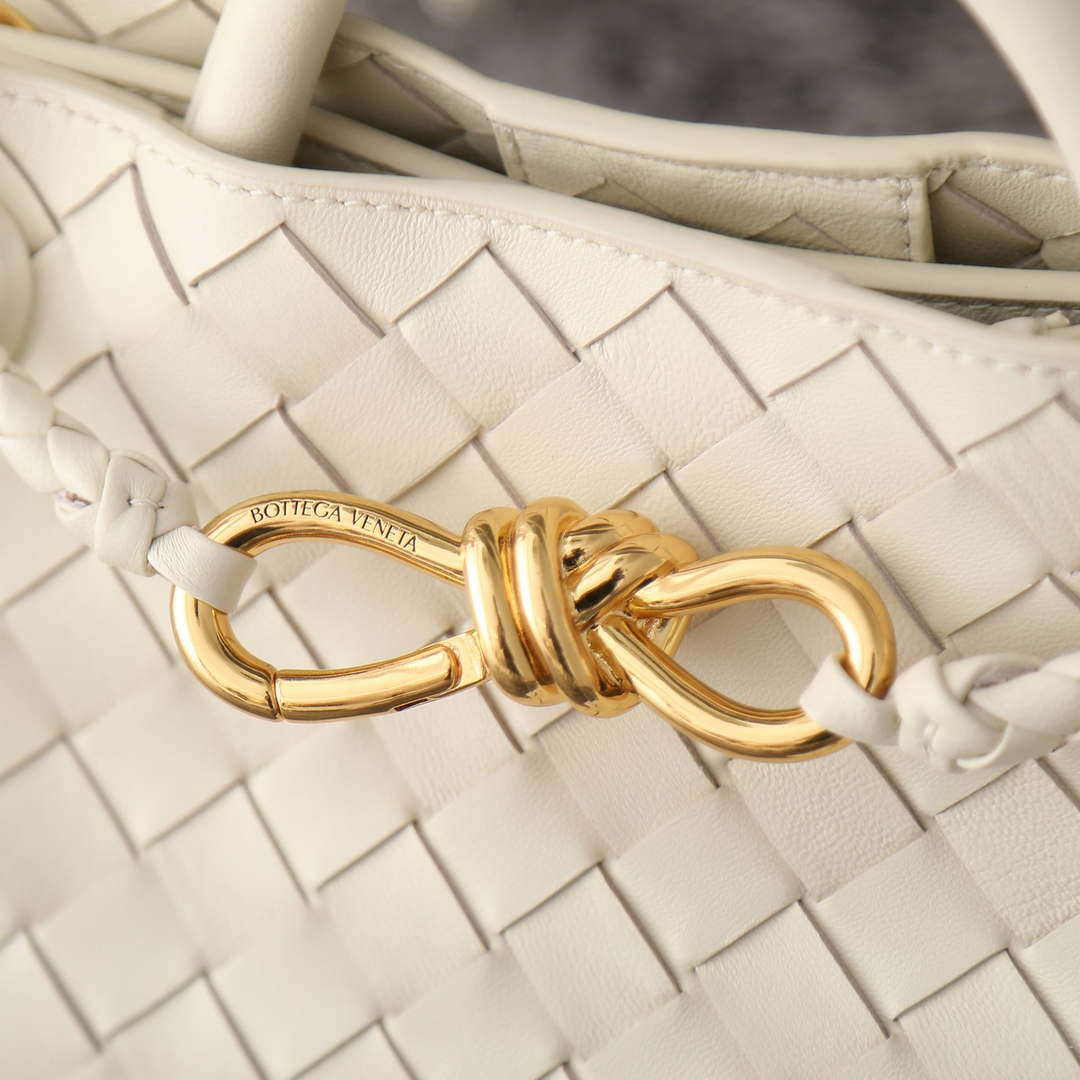 Bottega Veneta BV 743568 Small Andiamo BV9004