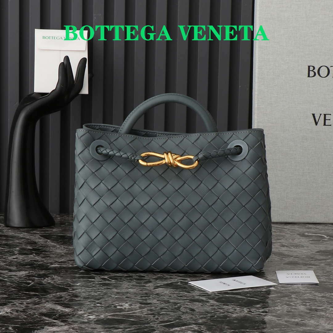 Bottega Veneta BV 743568 Small Andiamo BV9007