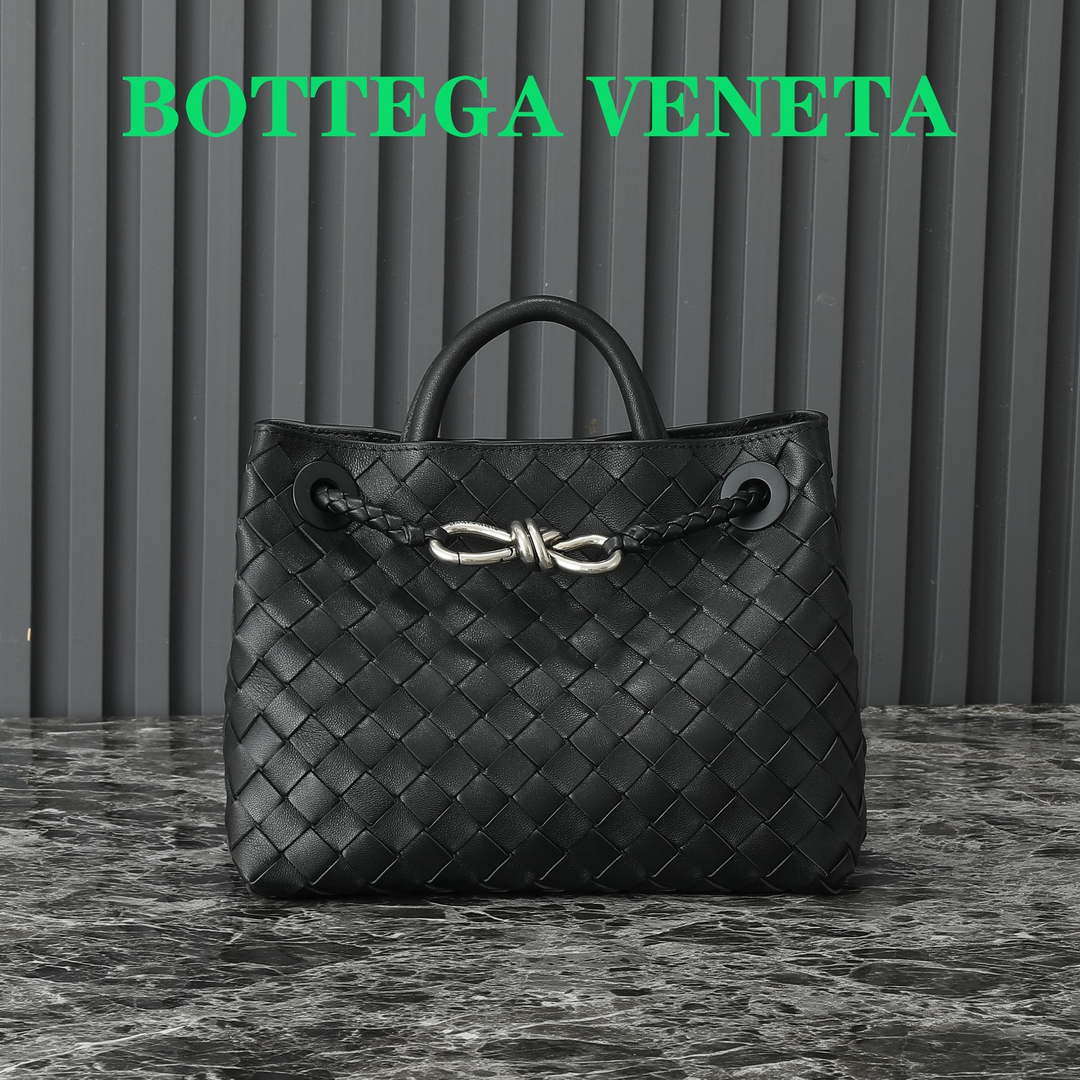 Bottega Veneta BV 766014 Small Andiamo BV9009