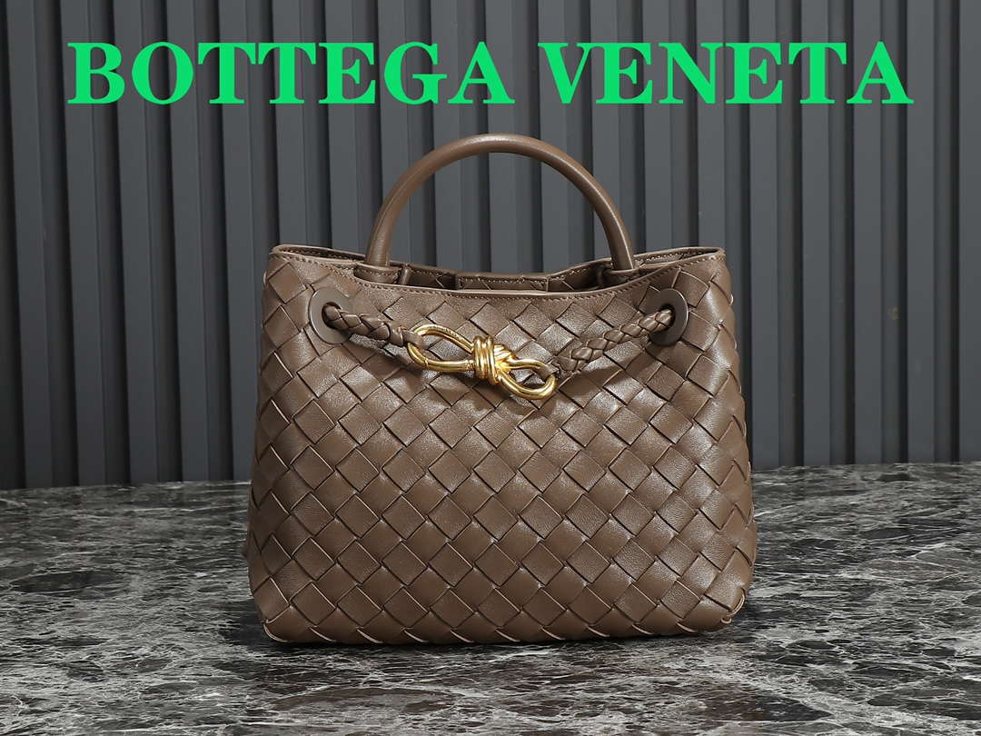 Bottega Veneta BV 766014 Small Andiamo BV9010