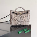 Bottega Veneta BV 743568 Small Andiamo Snakeskin Handbag BV9070