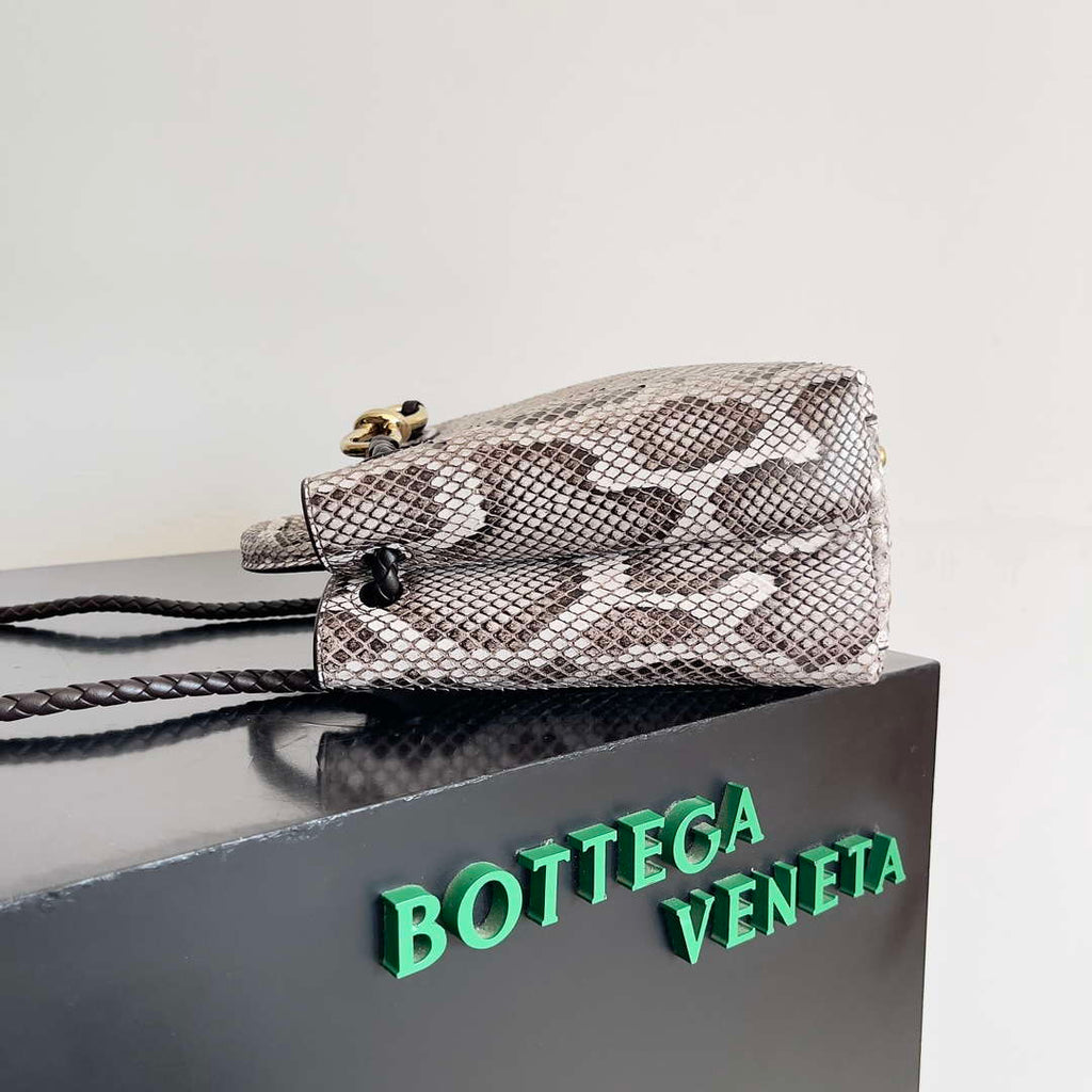 Bottega Veneta BV 743568 Small Andiamo Snakeskin Handbag BV9070