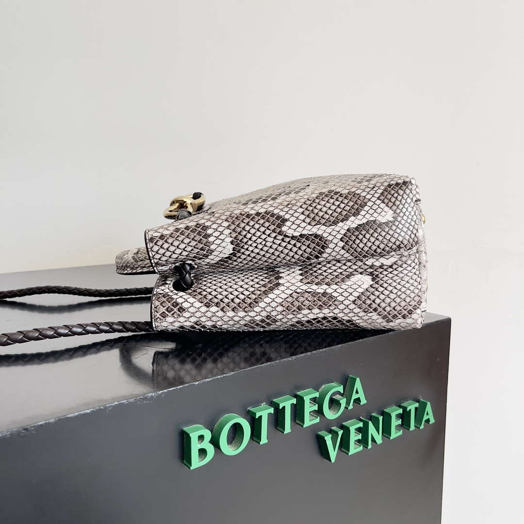 Bottega Veneta BV 743568 Small Andiamo Snakeskin Handbag BV9070
