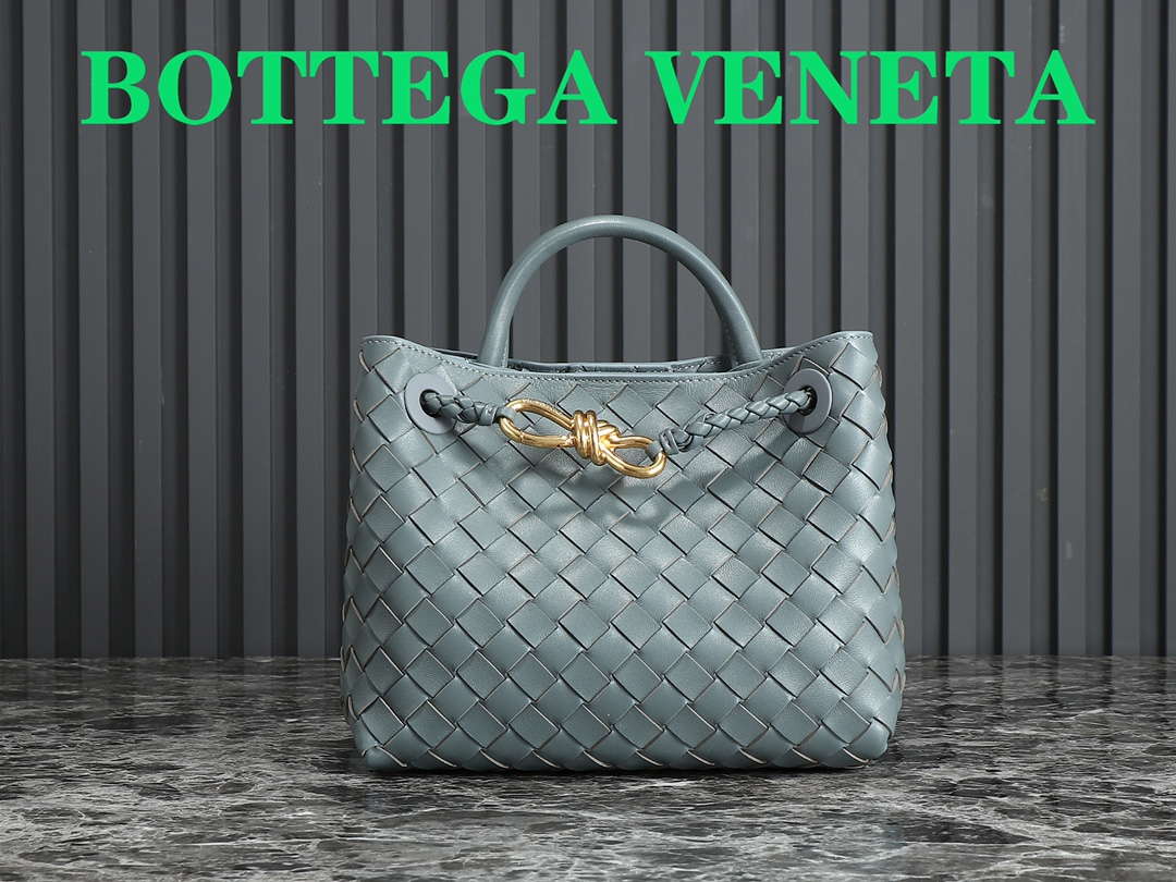 Bottega Veneta BV 766014 Small Andiamo BV9011