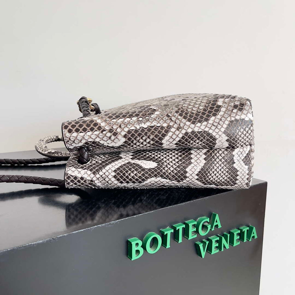 Bottega Veneta BV 743572 Medium Andiamo Snakeskin Handbag BV9069