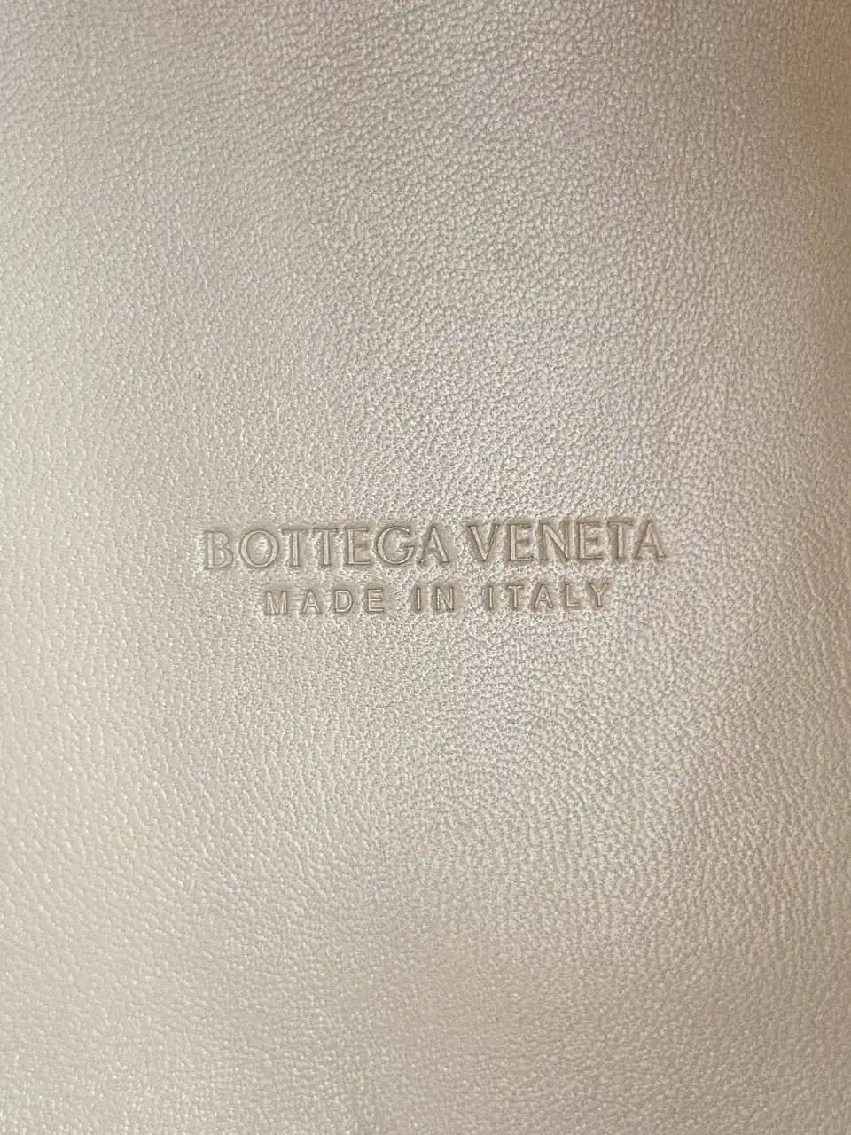 Bottega Veneta BV 796569VCPPT8060 Small Andiamo Parachute Apricot