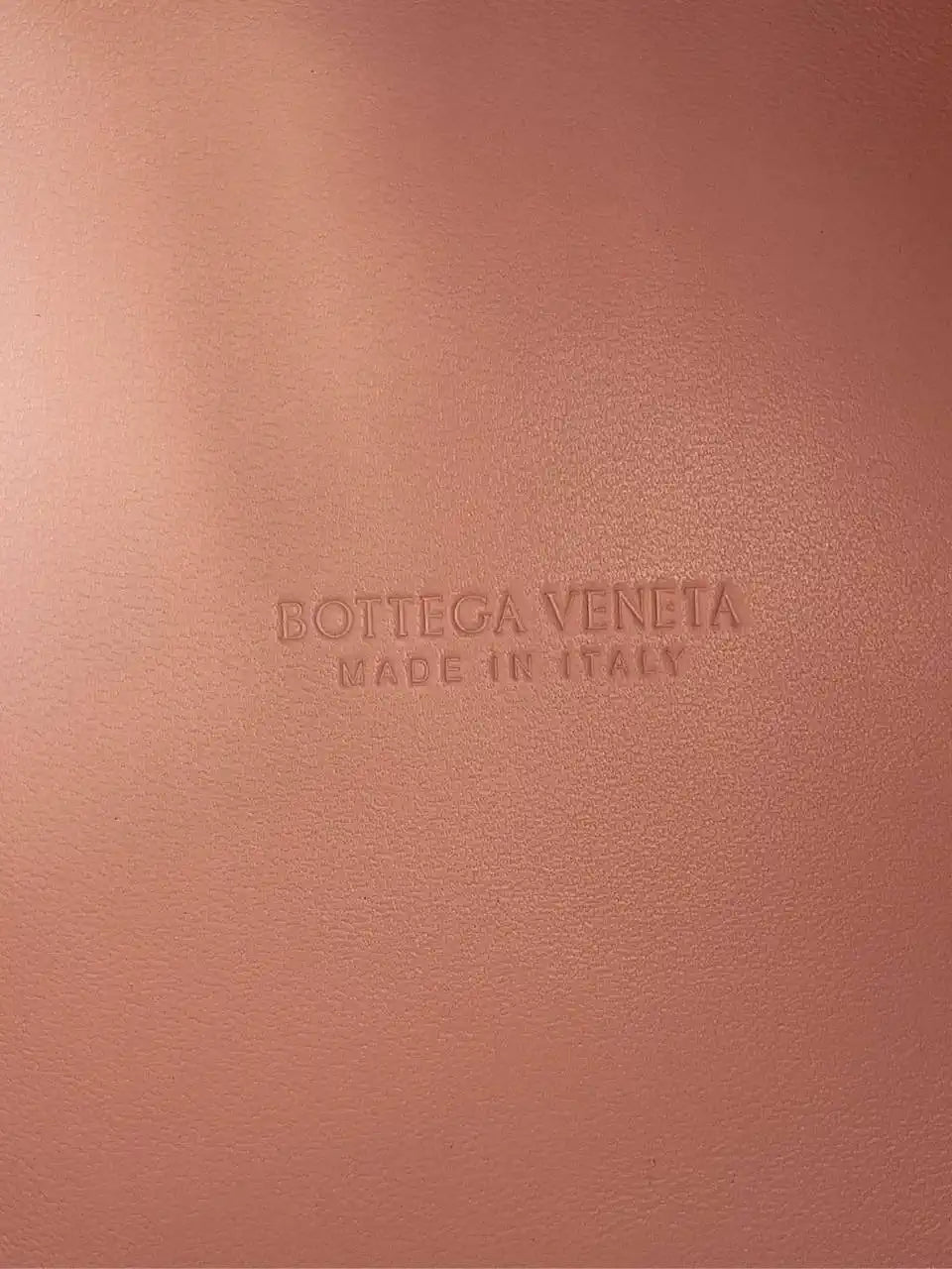 Bottega Veneta BV 796569VCPPT8060 Small Andiamo Parachute Pink