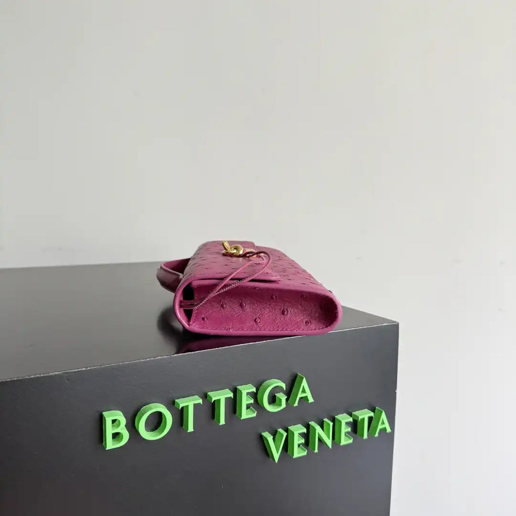 Bottega Veneta BV 805241 Long Clutch Andiamo Ostrich Leather With Handle Bv99032