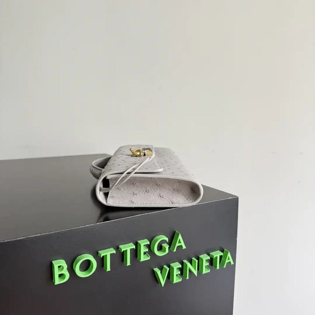 Bottega Veneta BV 805241 Long Clutch Andiamo Ostrich Leather With Handle Bv99034