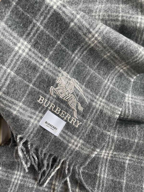 Burberry Scarves Classic Scarf B87394
