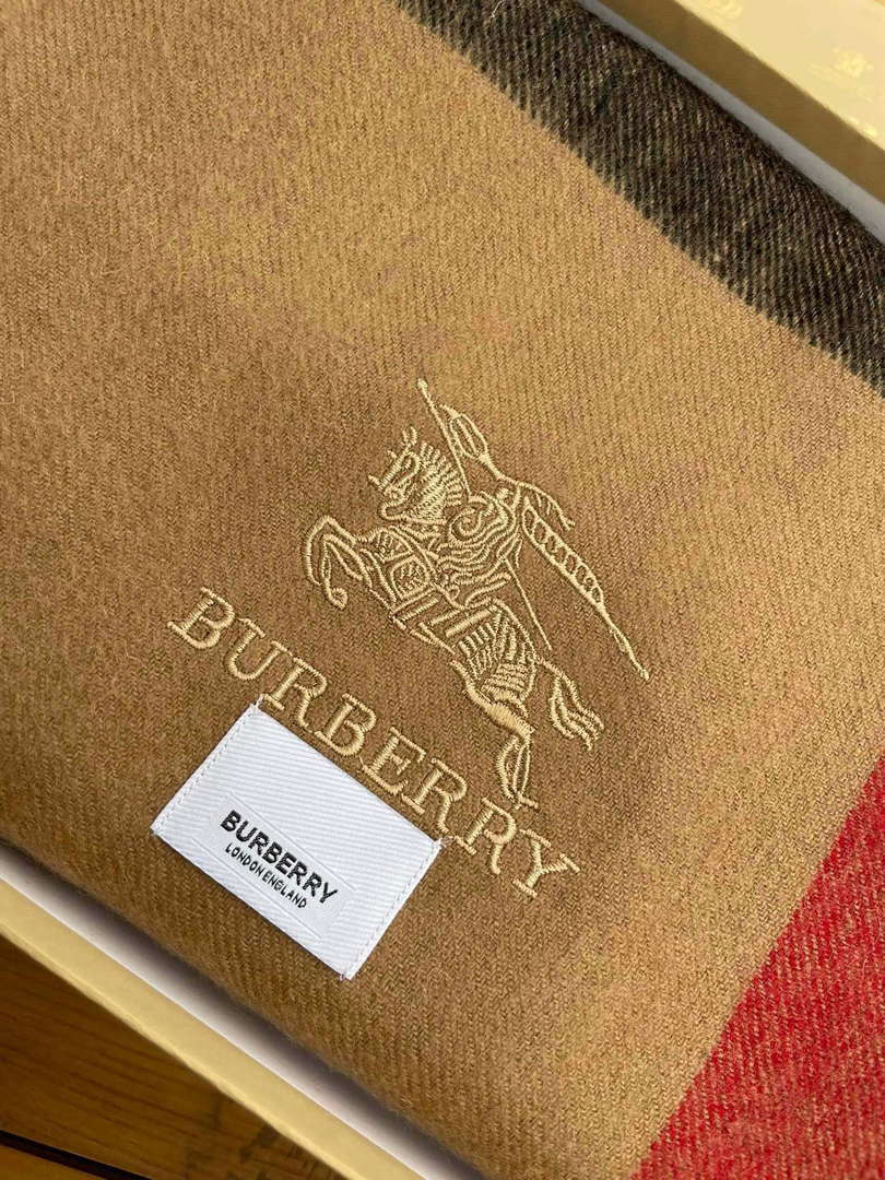 Burberry Scarves Classic Scarf B87404