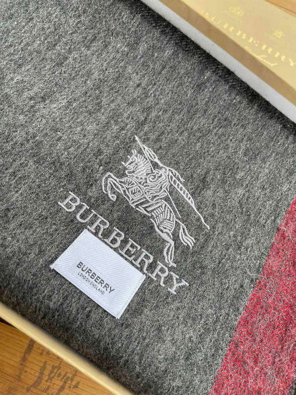 Burberry Scarves Classic Scarf B87405