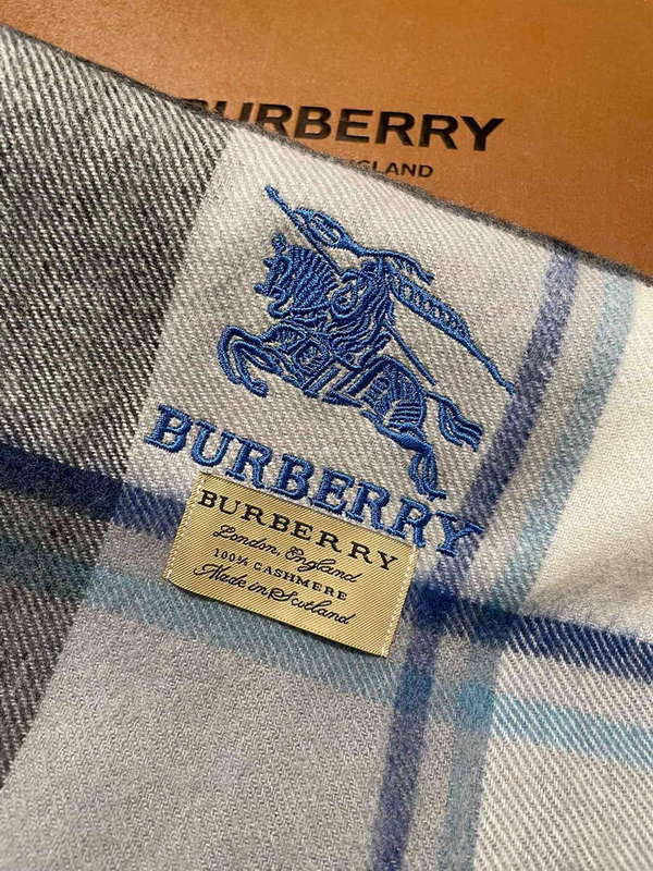 Burberry Scarves Classic Scarf B87407