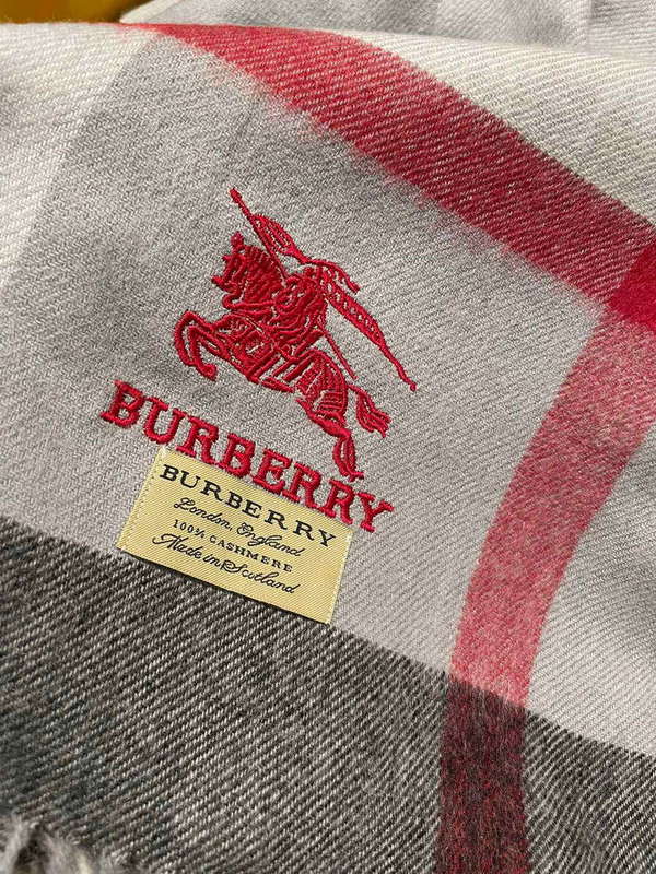 Burberry Scarves Classic Scarf B87408