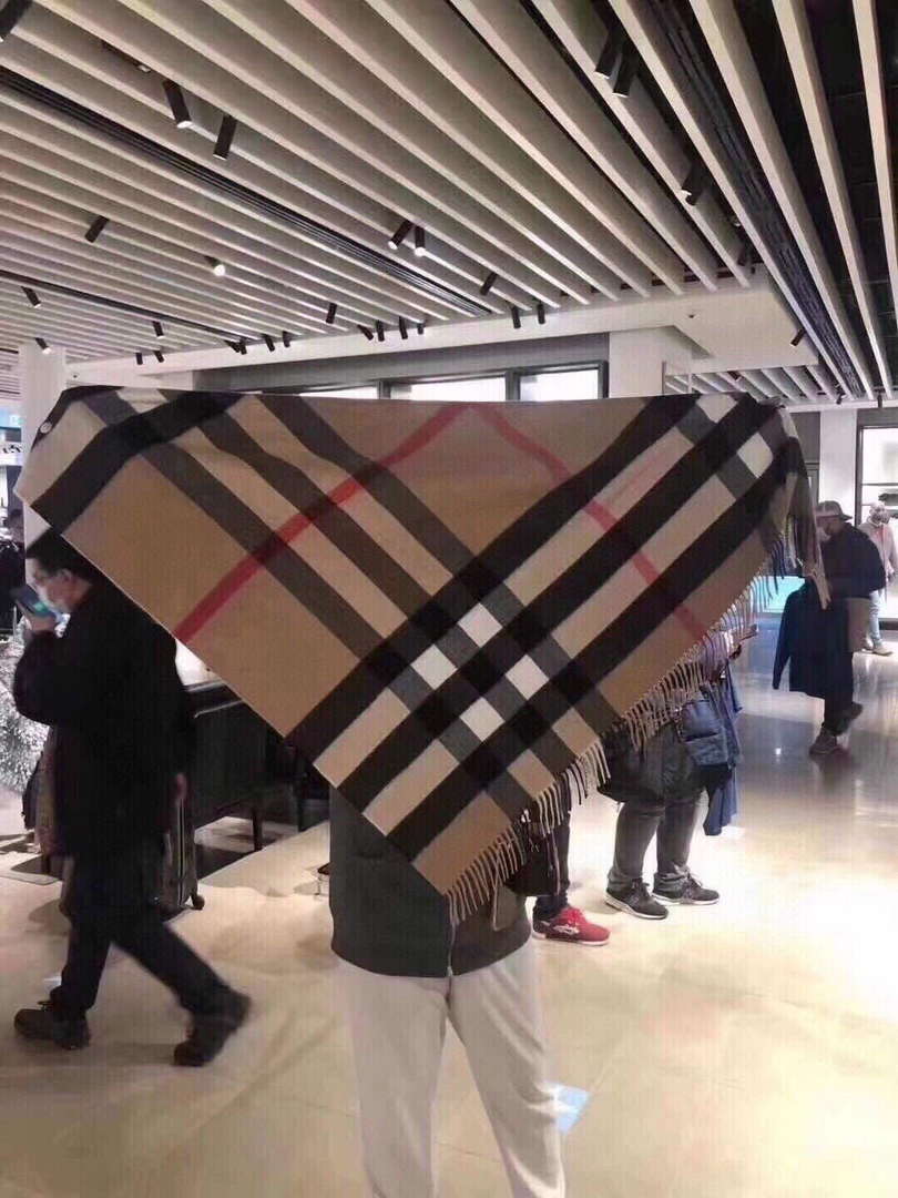 Burberry Scarves Classic Scarf B87409