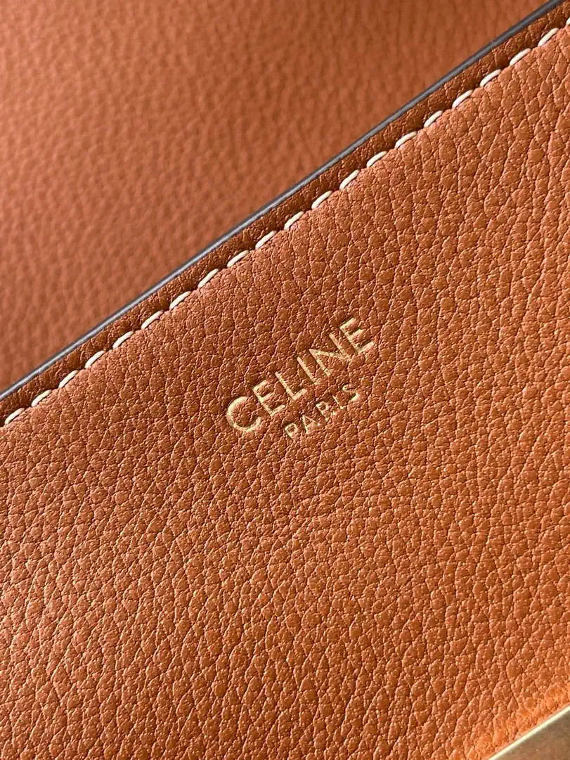 Celine 118113FRH TEEN Nino Bag in Triomphe Canvas Brown