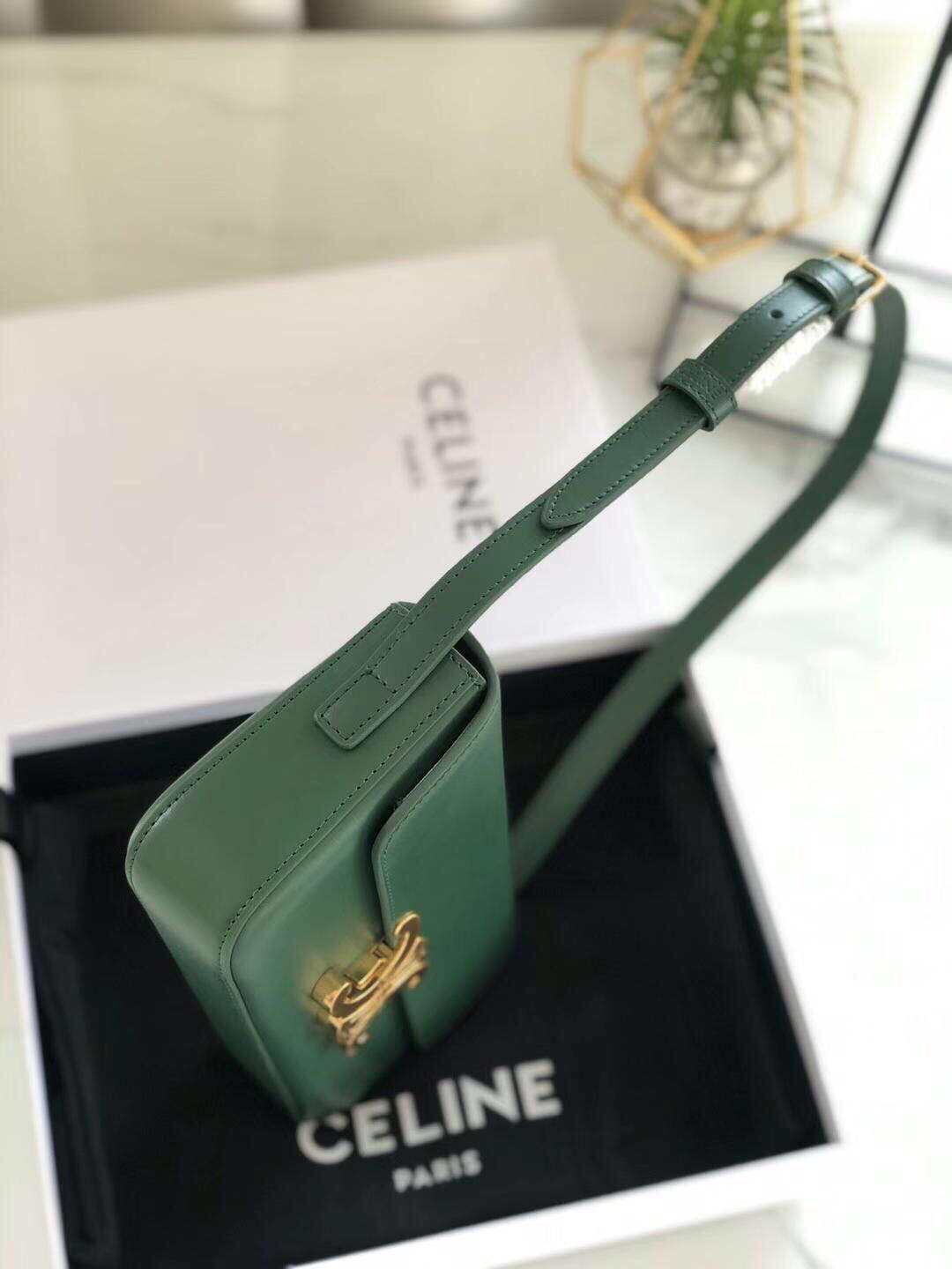 Celine 194143 Triomphe Shoulder Bag in Natural Calfskin Green - Default Title - View 2