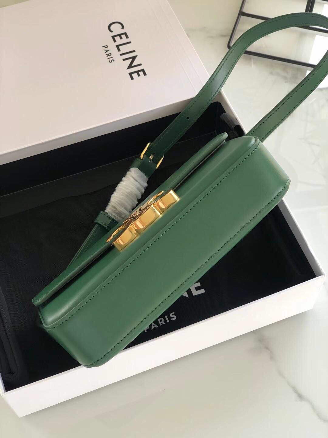 Celine 194143 Triomphe Shoulder Bag in Natural Calfskin Green - Default Title - View 4
