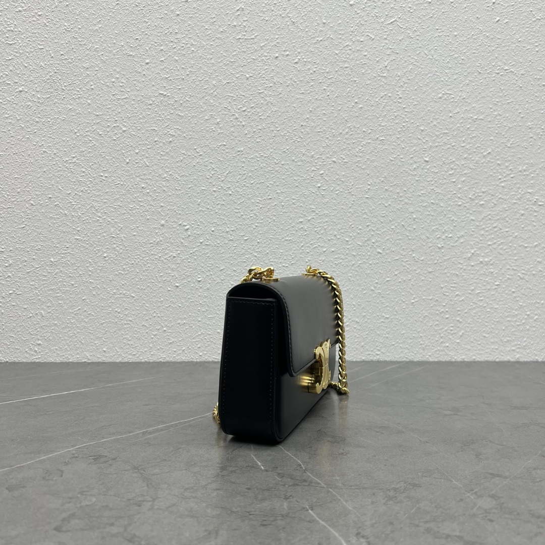 Celine 197992 Chain Shoulder Bag Claude In Triomphe Canvas Black