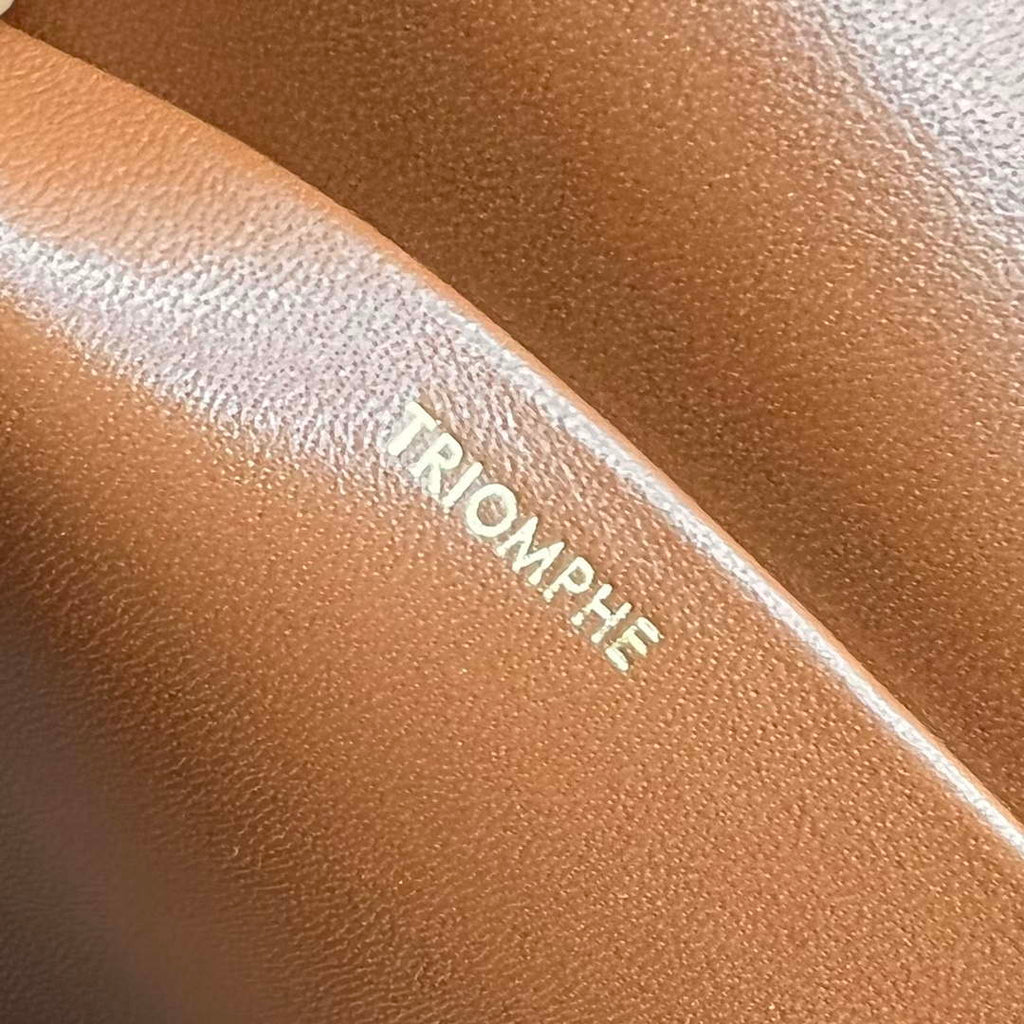 Celine 197992 Chain Shoulder Bag Claude In Triomphe Canvas Brown