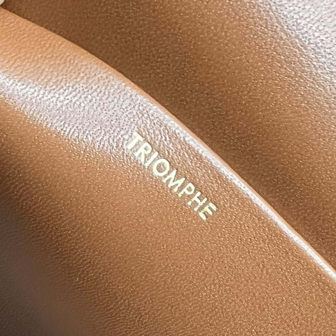 Celine 197992 Chain Shoulder Bag Claude In Triomphe Canvas Brown