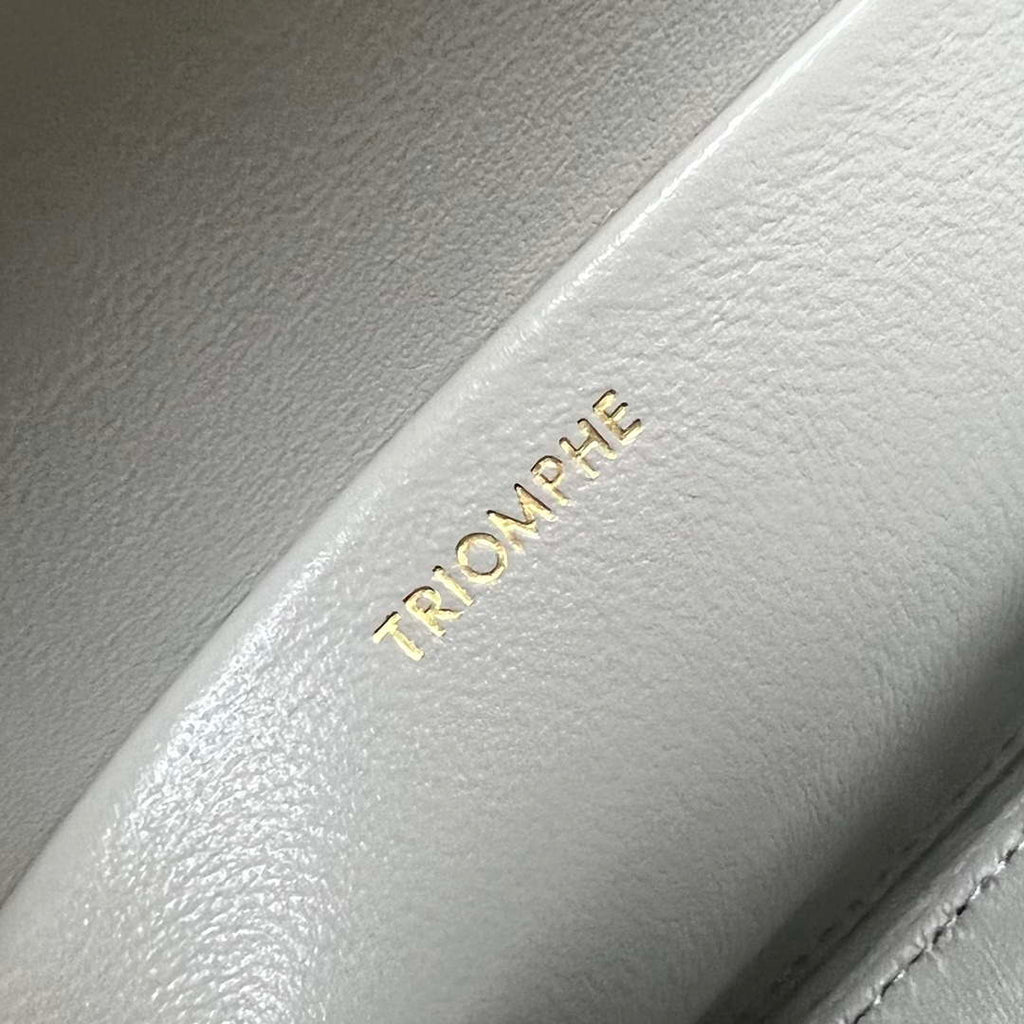 Celine 197992 Chain Shoulder Bag Claude In Triomphe Canvas Gray