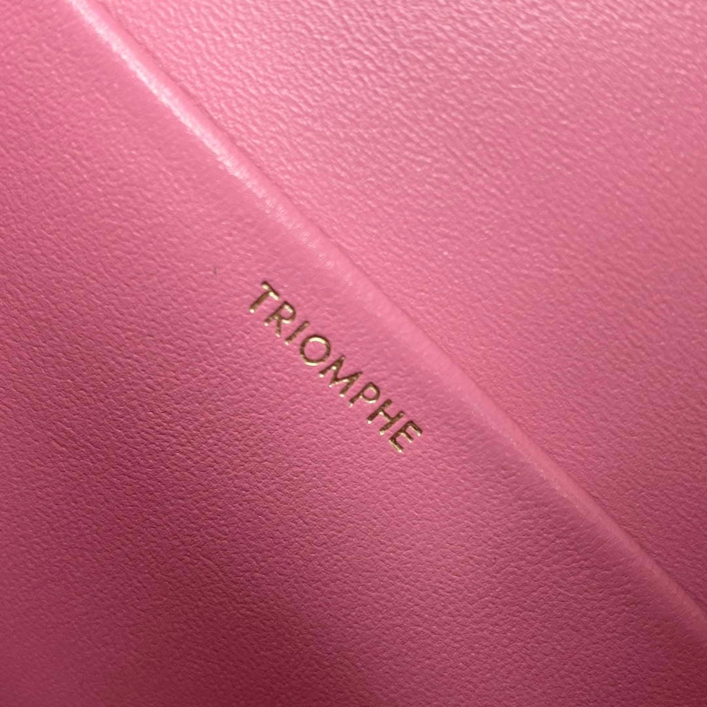Celine 197992 Chain Shoulder Bag Claude In Triomphe Canvas Pink