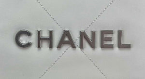 Chanel 22 Backpack AS3859 Shiny White Calfskin With Silver - Default Title - View 4