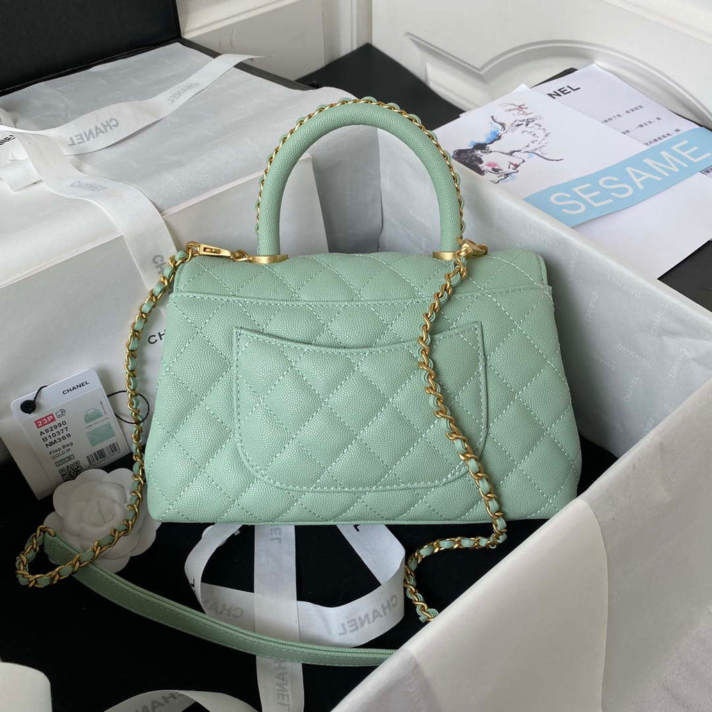 Chanel 23P Medium Flap Bag With Brown Top Handle Bag A92990 Green