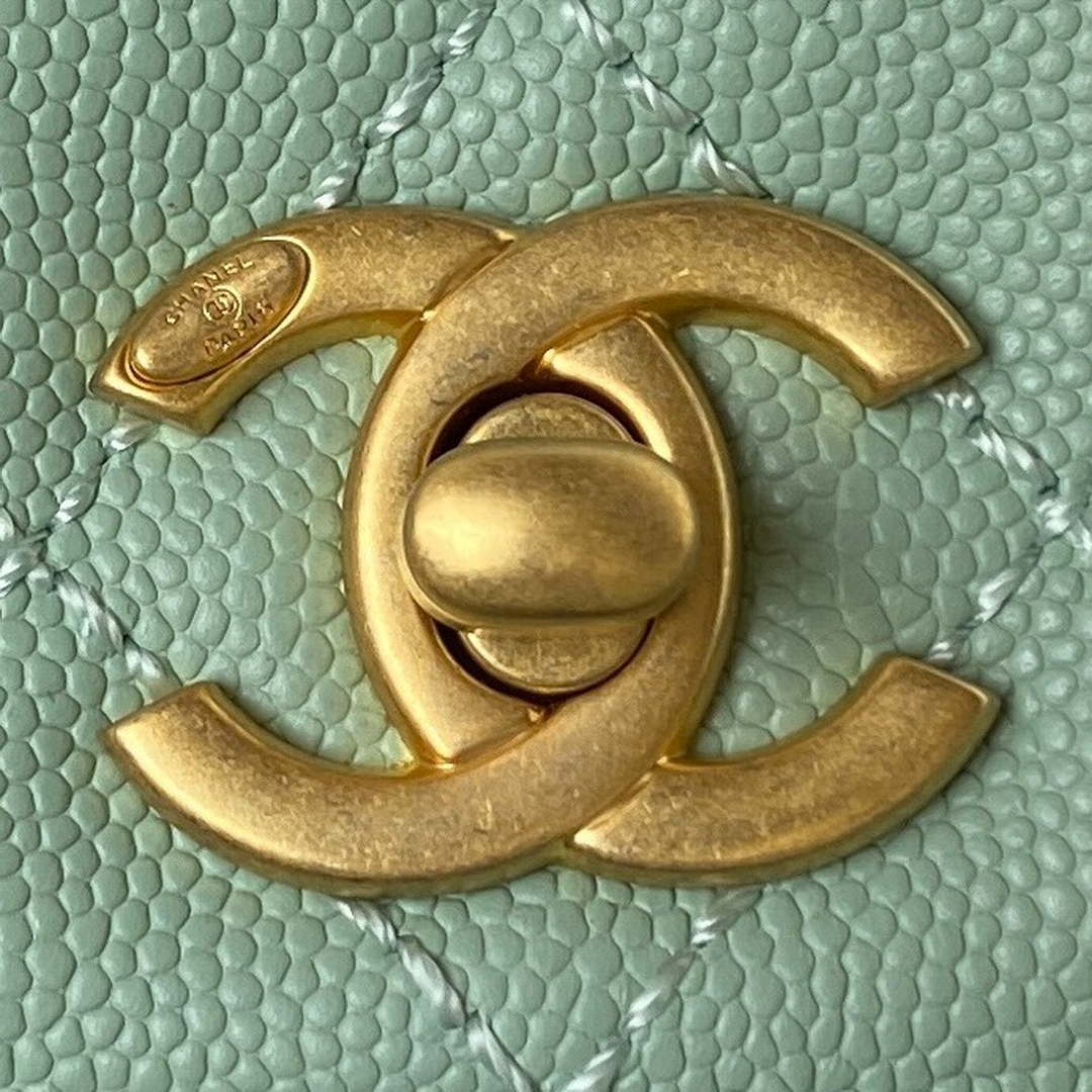 Chanel 23P Medium Flap Bag With Brown Top Handle Bag A92990 Green