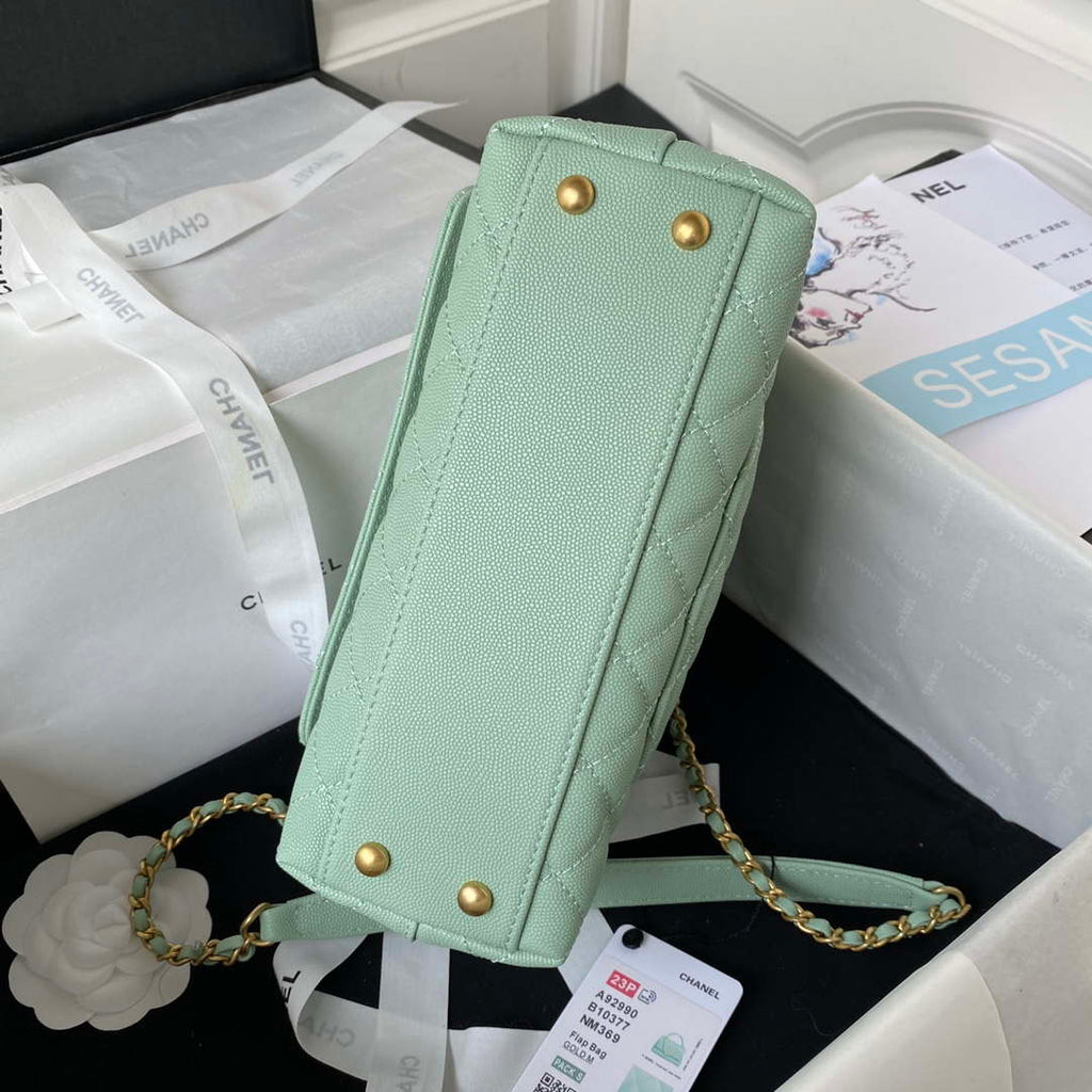 Chanel 23P Medium Flap Bag With Brown Top Handle Bag A92990 Green