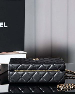 Chanel 25A AS5167 Autumn and Winter New Vanity Box Lambskin Bag Black - Default Title - View 4