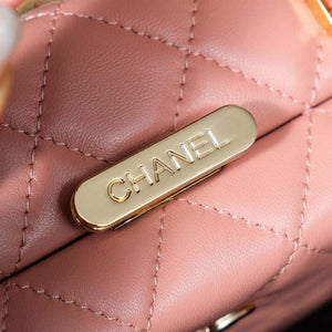 Chanel 25A AS5167 Autumn and Winter New Vanity Box Lambskin Bag Pink - Default Title - View 7