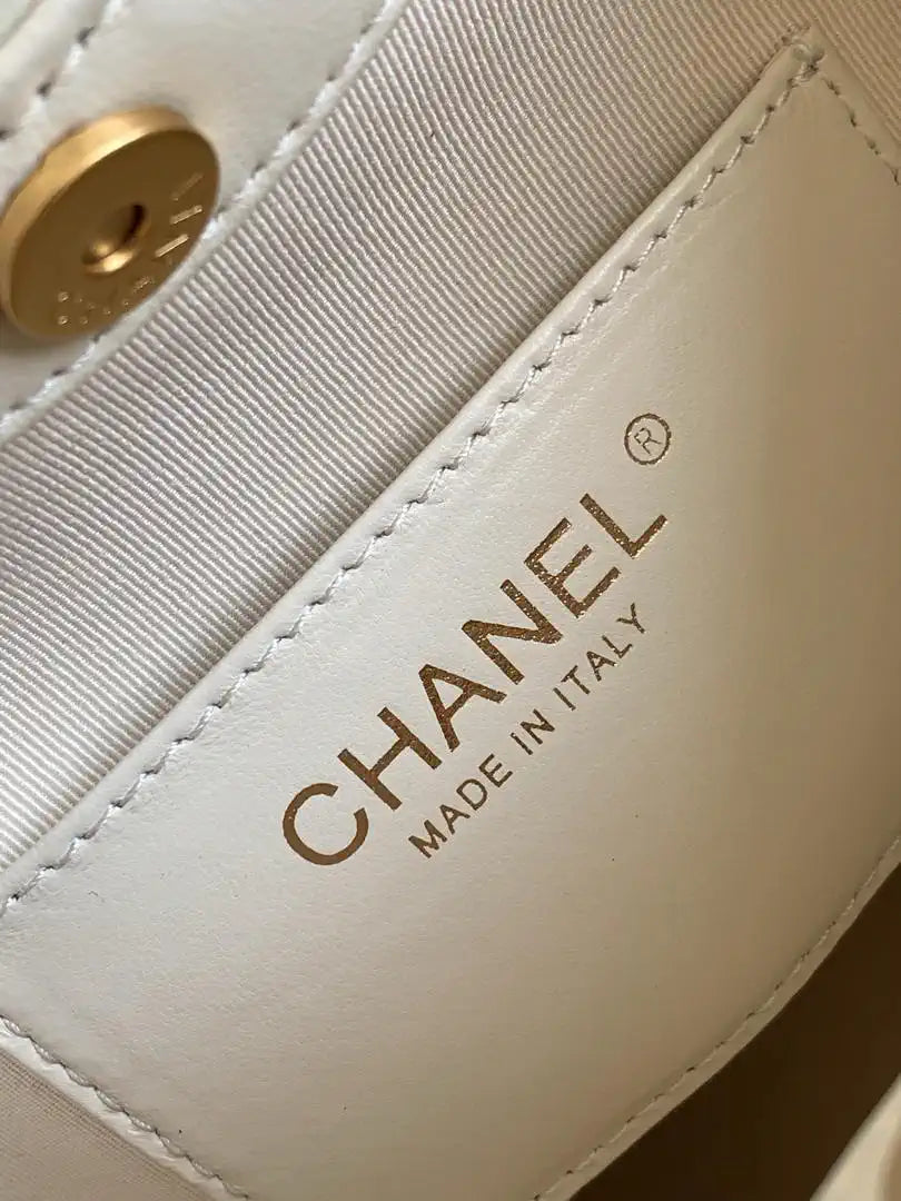 Chanel 26C AS6010 Hobo Lambskin Turtoise-Shell Effect Plexi & Gold-Tone Metal White