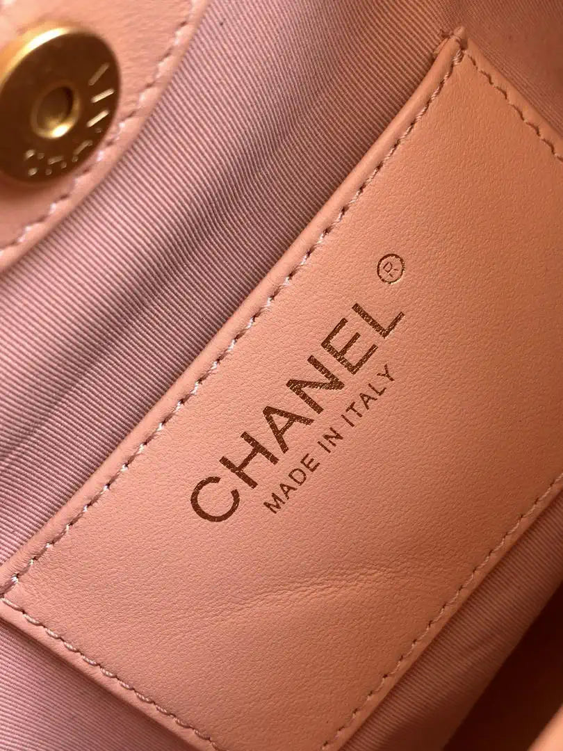 Chanel 26C AS6010 Hobo Lambskin Turtoise-Shell Effect Plexi & Gold-Tone Metal Pink